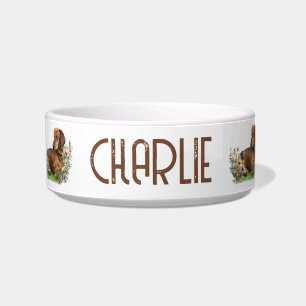 Brown Dachshund Four Photos Dog bowl