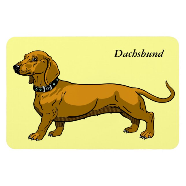 brown dachshund magnet (Horizontal)