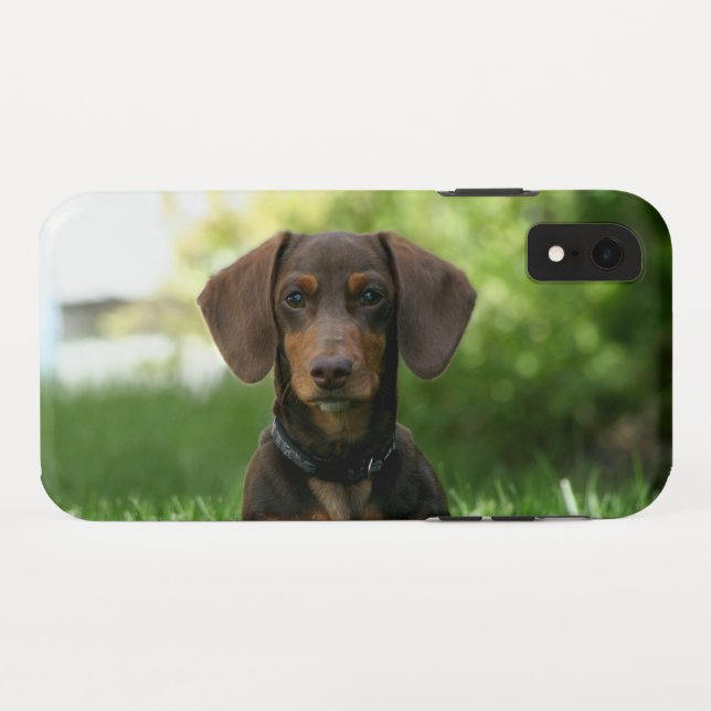 Brown Dachshund Puppy Case-Mate iPhone Case (Back (Horizontal))