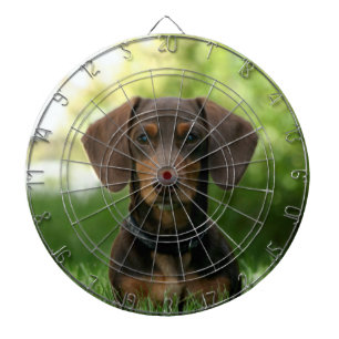 Brown Dachshund Puppy Dartboard