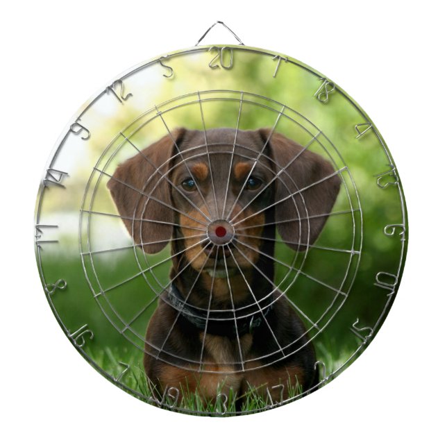 Brown Dachshund Puppy Dartboard (Front)