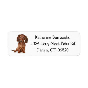 Brown Dachshund Puppy Dog Personalized