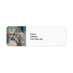 Brown de la faune Bobcat Lynx