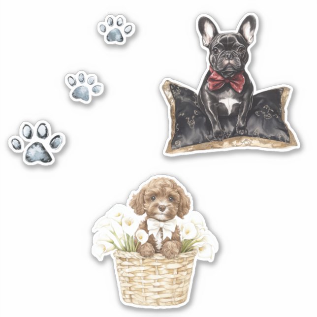 Brown Dog Black Frenchie (Front)