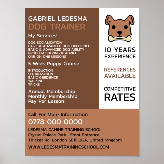 Brown Dog, Dog Trainer Advertising Poster (Front)