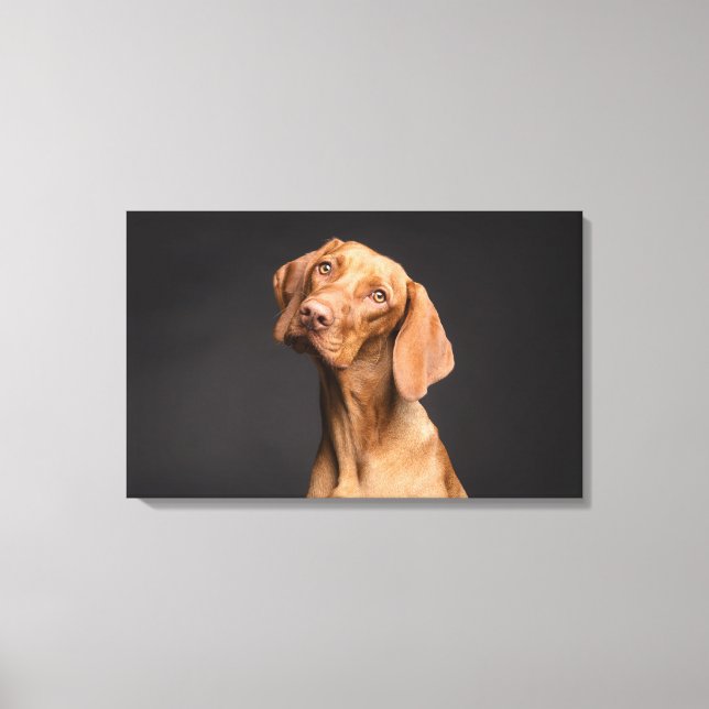 Brown Dog with Long Neck Canvas Print (Front)