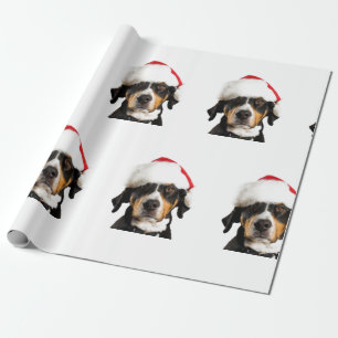 BROWN DOG WITH Santa HAT CHRISTMAS GIFT WRAP