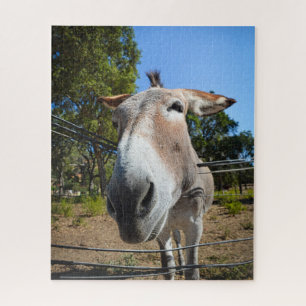 Brown donkey portrait on a sunny summer day jigsaw puzzle