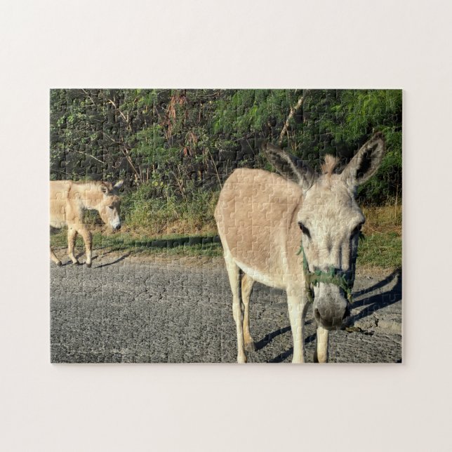 Brown Donkeys Animals Pets Fun Jigsaw Puzzle (Horizontal)