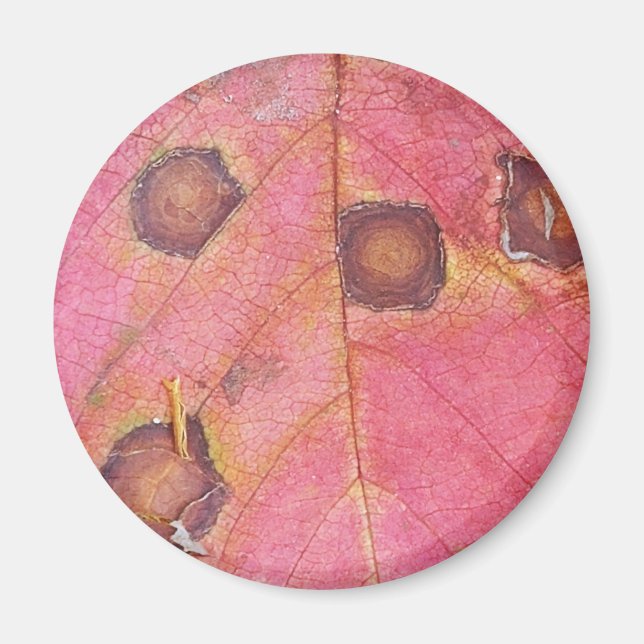Brown Dotted Red Fall Leaf  Magnet (Front)