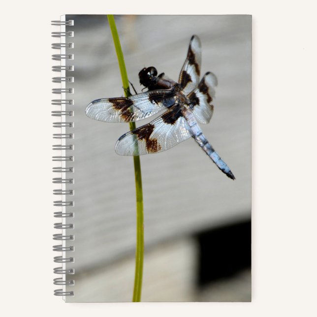 Brown Dragonfly Notebook Journal (Front)