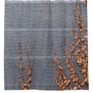 Brown dried leaves on water