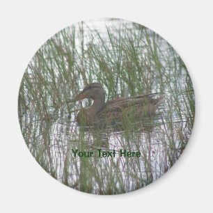 Brown Duck Nature Photography Magnet