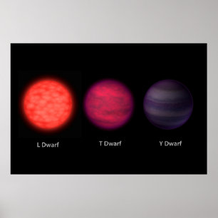 Brown Dwarfs As Seen By An Interstellar Traveler. Poster