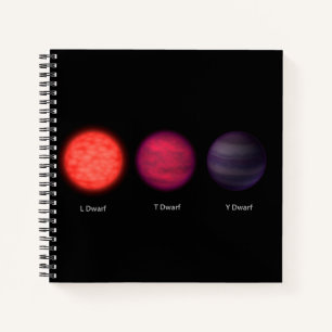 Brown Dwarfs As Seen By An Interstellar Traveller. Notebook