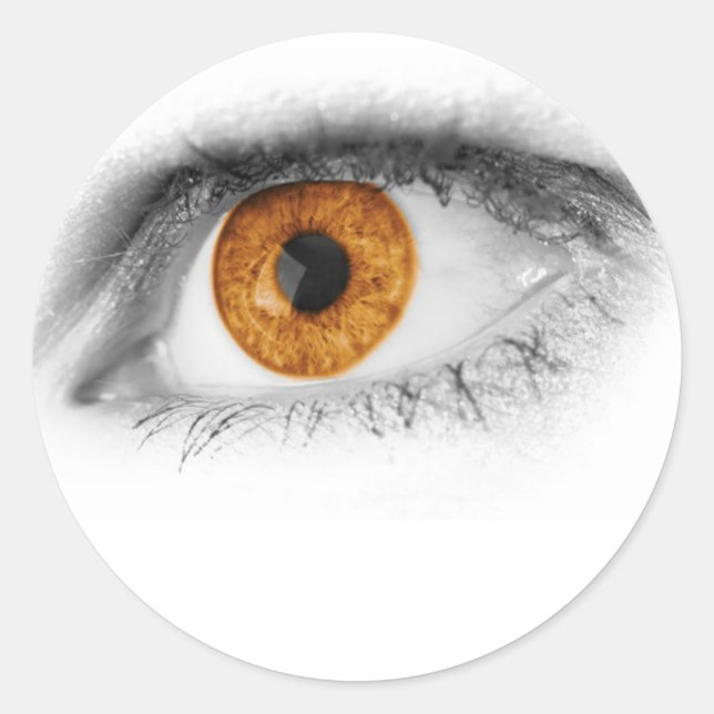 Brown Eye Art Classic Round Sticker (Front)