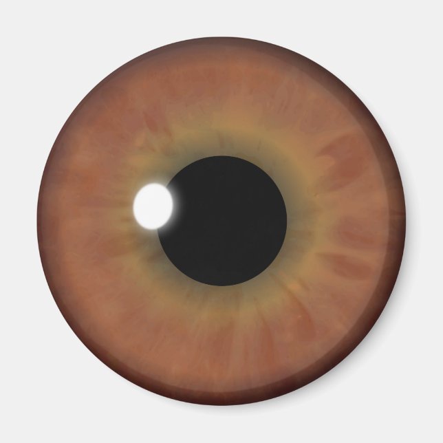 Brown Eye Iris Eyeball Cool Custom Round Magnets (Front)