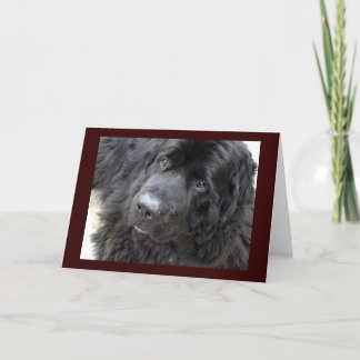 brown eyed hugo card