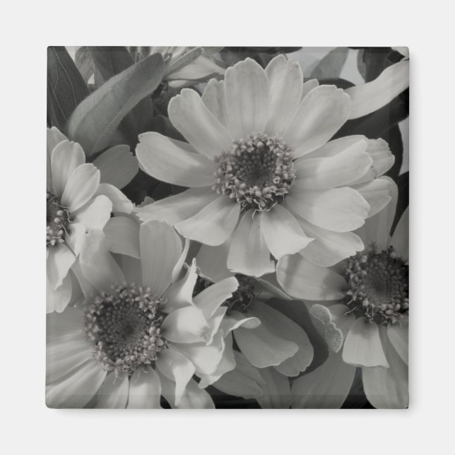 Brown Eyed Susan Flowers Magnet (Front)