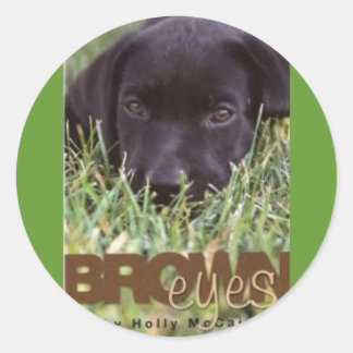 Brown Eyes cover (Custom) Classic Round Sticker