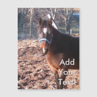 Brown Farm Horse Raleigh County