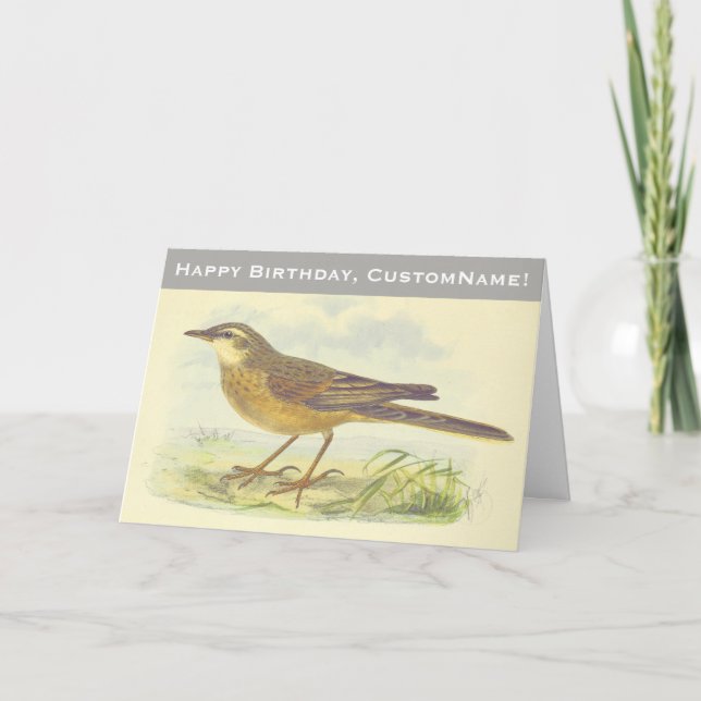 Brown-Feathered Bird Standing on the Ground Card (Front)