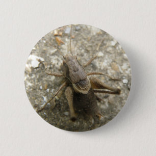 Brown Field Cricket Button
