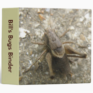 Brown Field Cricket Custom Bugs Binder
