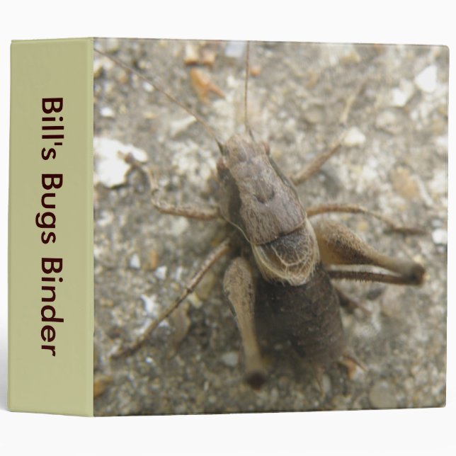 Brown Field Cricket Custom Bugs Binder (Front/Spine)