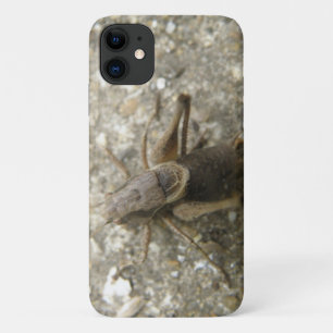 Brown Field Cricket iPhone 3 Case