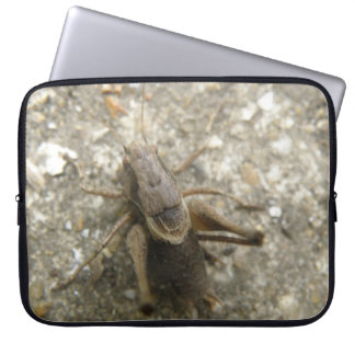 Brown Field Cricket Laptop Bag