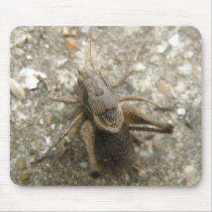 Brown Field Cricket Mousepad