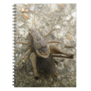 Brown Field Cricket Notebook