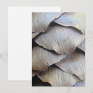 Brown fir cone pattern