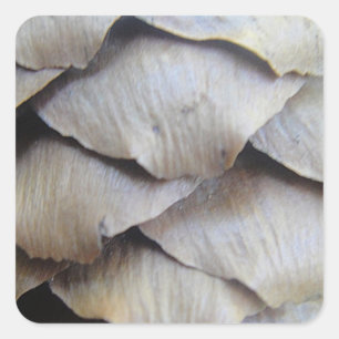 Brown fir cone pattern square sticker