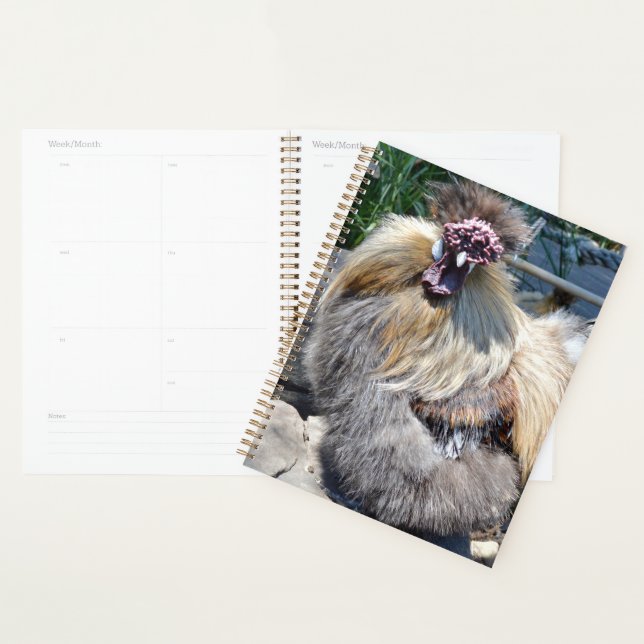 Brown Fluffy Ugly Chicken, Planner (Display)