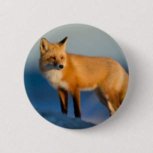 Brown Fox 2 Inch Round Button
