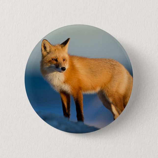 Brown Fox 2 Inch Round Button (Front)