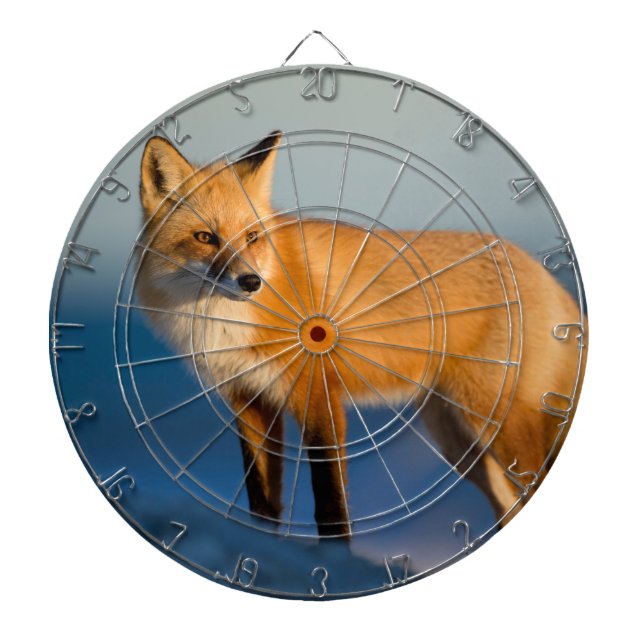 Brown Fox Dartboard (Front)