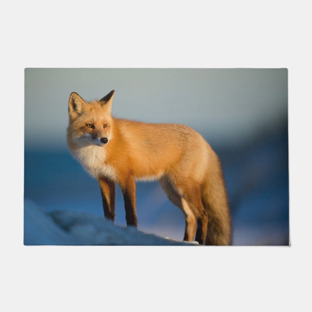 Brown Fox Doormat (Front)