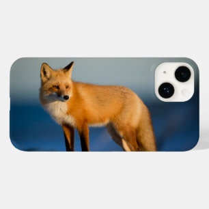Brown Fox iPhone 14 Case