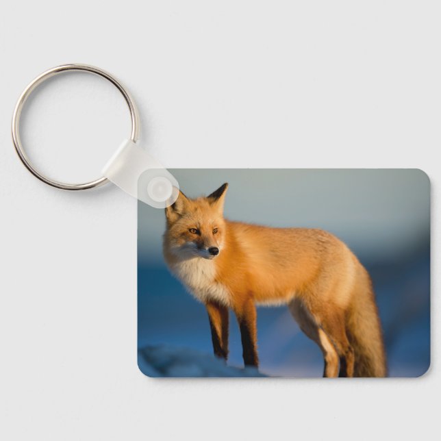 Brown Fox Keychain (Back)