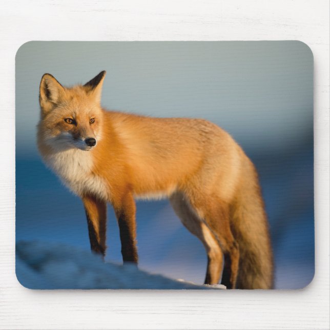 Brown Fox Mouse Pad (Front)