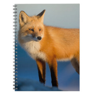 Brown Fox Notebook