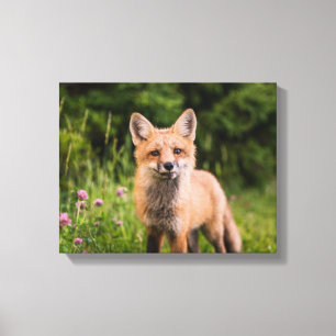 Brown Fox on green grass Canvas Print