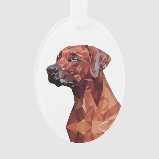 Brown Geometric Dog   Ornament (Front)
