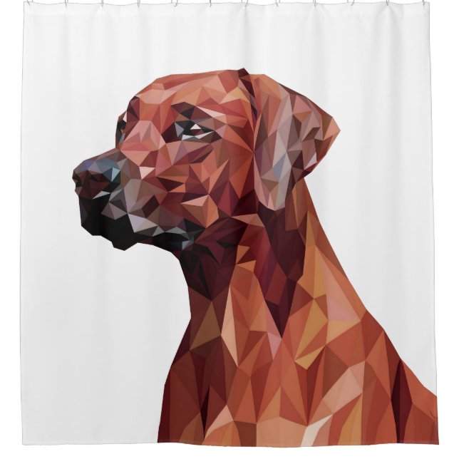 Brown Geometric Dog White (Front)