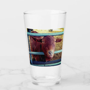 Brown goat glass