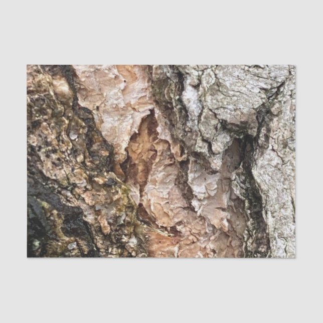 Brown Grey Tree Bark Texture Old Photo Art Tissue Paper (Front)