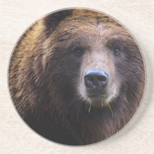 Brown Grizzly Bear Coaster